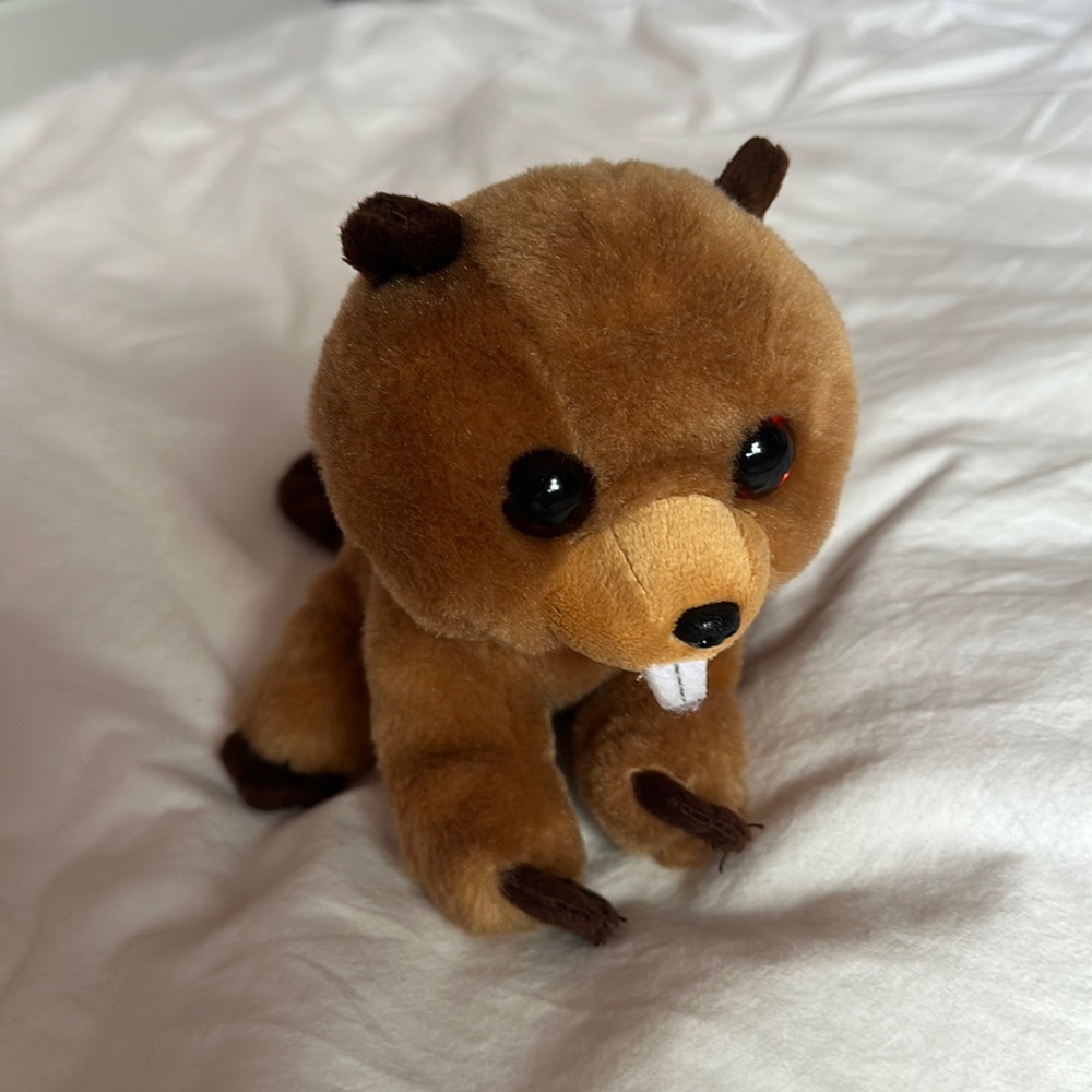 Beanie Boo toy for kids